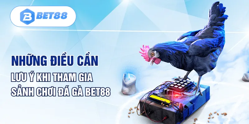 Những điều cần lưu ý khi tham gia sảnh chơi đá gà Bet88 Những điều cần lưu ý khi tham gia sảnh chơi đá gà Bet88