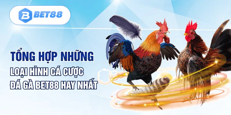 Tổng hợp những loại hình cá cược đá gà Bet88 hay nhất Tổng hợp những loại hình cá cược đá gà Bet88 hay nhất
